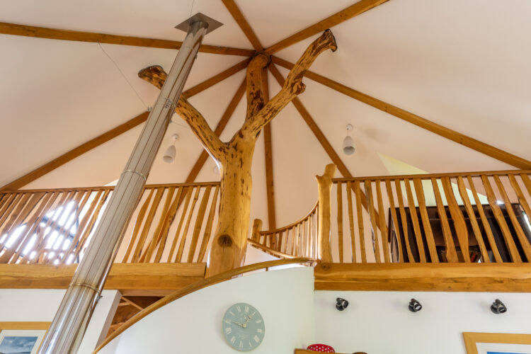 Fettes_Hutchison Treehouse_31.05.22-243